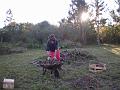 preparando la tierra para plantar los frutales